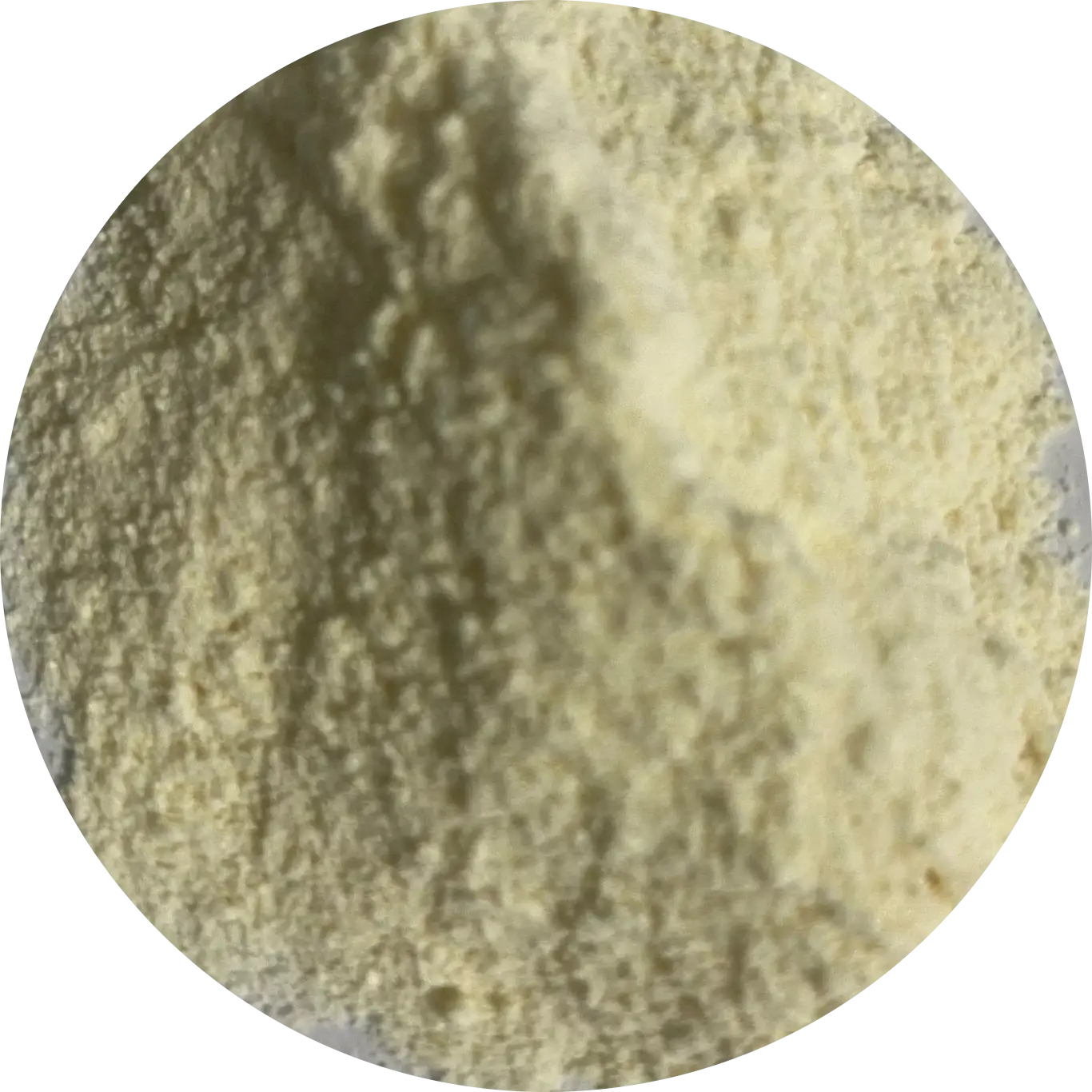 Probiotic Blend